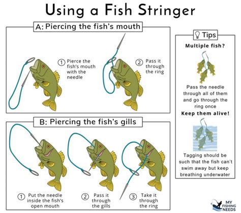 fish string|How To Use A Fish Stringer With Technique .